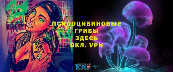 прущие крисы Осинники