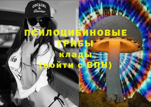 прущие крисы Осинники