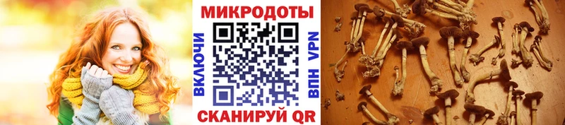 ссылка на мегу ТОР  Тетюши  Псилоцибиновые грибы Cubensis 
